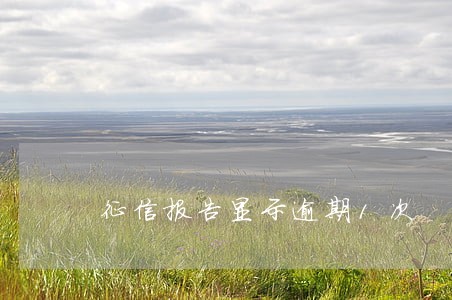 征信报告显示逾期1次 征信报告显示逾期1次