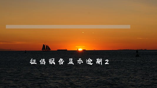 征信报告显示逾期2