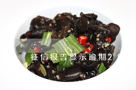 征信报告显示逾期28期 征信报告显示逾期28期