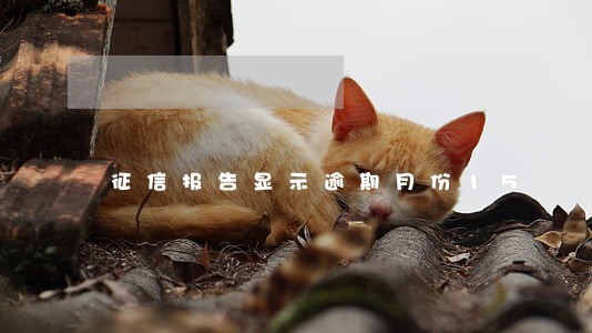 征信报告显示逾期月份15