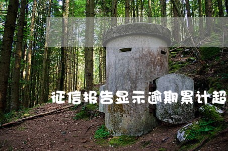 征信报告显示逾期累计超50次 征信报告显示逾期累计超50次