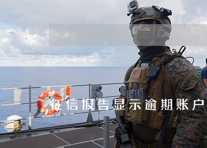 征信报告显示逾期账户数1个