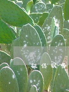 征信报告最近5年内有逾期