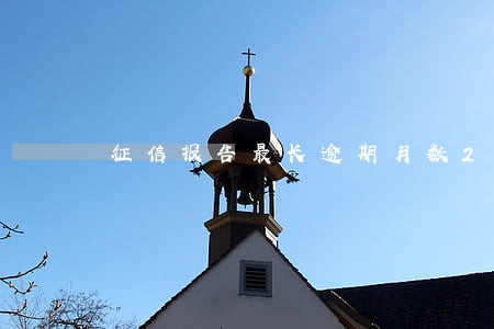 征信报告最长逾期月数2 征信报告最长逾期月数2