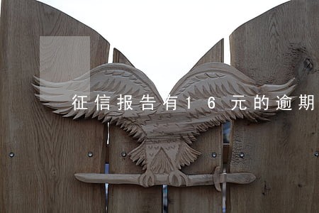 征信报告有16元的逾期 征信报告有16元的逾期