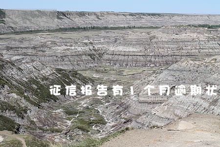 征信报告有1个月逾期状态 征信报告有1个月逾期状态