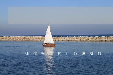 征信报告有1条逾期的 征信报告有1条逾期的