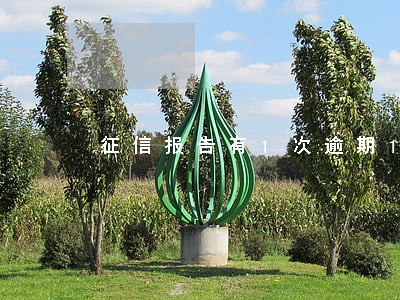征信报告有1次逾期14元 征信报告有1次逾期14元