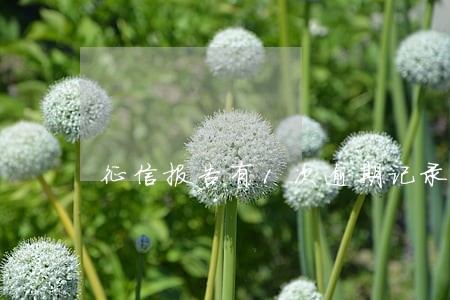 征信报告有1次逾期记录吗 征信报告有1次逾期记录吗