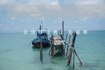 征信报告有2处逾期 征信报告有2处逾期