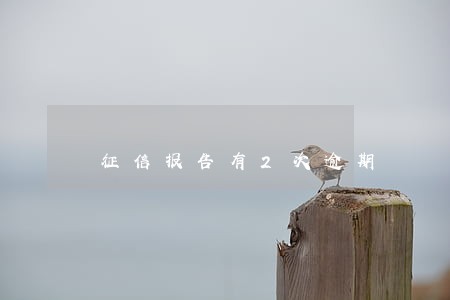 征信报告有2次逾期 征信报告有2次逾期