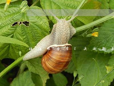 征信报告有2次逾期办信用卡 征信报告有2次逾期办信用卡