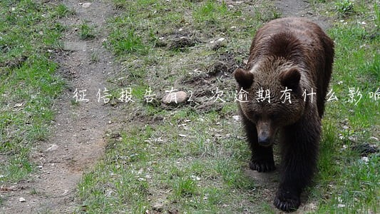 征信报告有2次逾期有什么影响 征信报告有2次逾期有什么影响