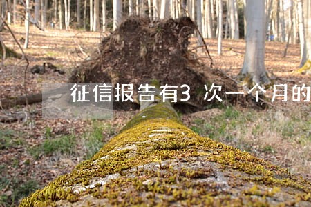 征信报告有3次一个月的逾期 征信报告有3次一个月的逾期