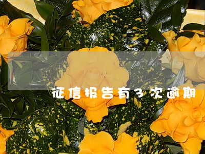 征信报告有3次逾期 征信报告有3次逾期
