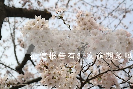 征信报告有3次逾期多吗 征信报告有3次逾期多吗