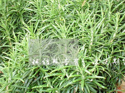 征信报告有4次逾期贷款 征信报告有4次逾期贷款