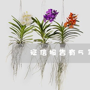 征信报告有5笔逾期 征信报告有5笔逾期