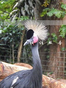 征信报告有8次逾期