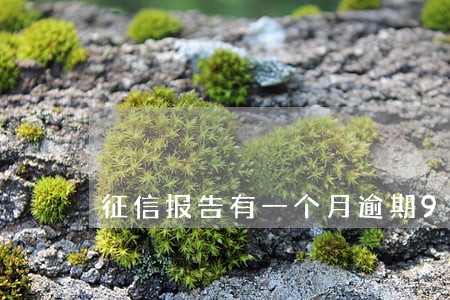 征信报告有一个月逾期90 征信报告有一个月逾期90