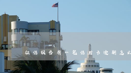 征信报告有一笔信用卡逾期怎么办 征信报告有一笔信用卡逾期怎么办