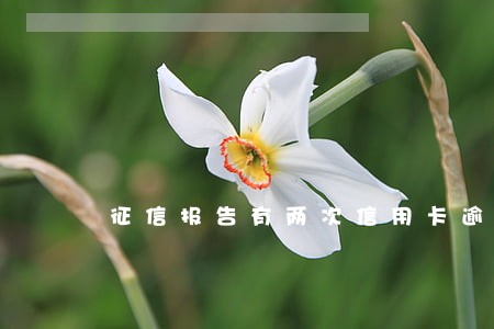 征信报告有两次信用卡逾期 征信报告有两次信用卡逾期