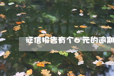 征信报告有个6元的逾期 征信报告有个6元的逾期