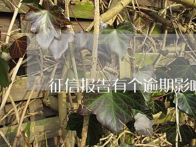征信报告有个逾期影响贷款吗 征信报告有个逾期影响贷款吗