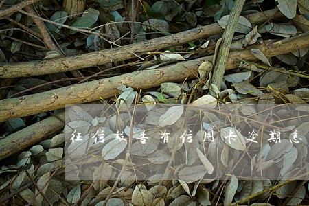 征信报告有信用卡逾期怎么回事 征信报告有信用卡逾期怎么回事