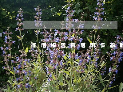 征信报告有信用卡逾期记录 征信报告有信用卡逾期记录