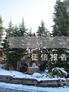 征信报告有信用逾期 征信报告有信用逾期