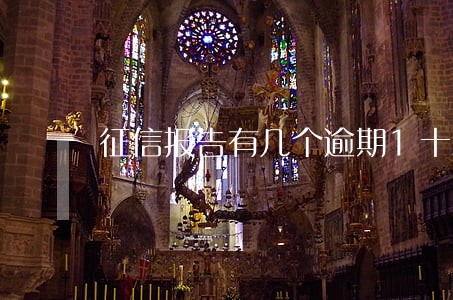 征信报告有几个逾期1十三次 征信报告有几个逾期1十三次