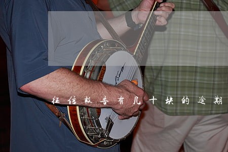 征信报告有几十块的逾期13天 征信报告有几十块的逾期13天