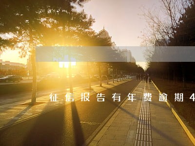 征信报告有年费逾期4次怎么办 征信报告有年费逾期4次怎么办