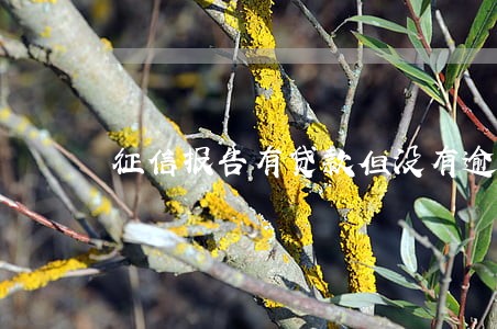 征信报告有贷款但没有逾期 征信报告有贷款但没有逾期