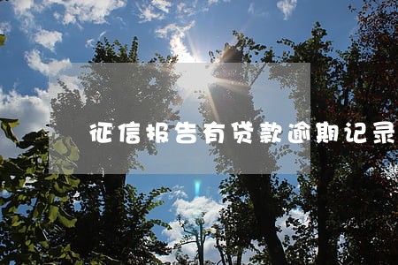 征信报告有贷款逾期记录 征信报告有贷款逾期记录