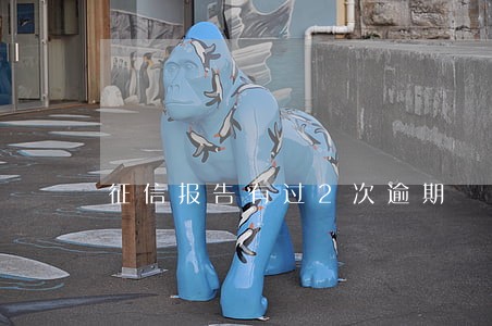 征信报告有过2次逾期 征信报告有过2次逾期