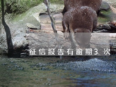征信报告有逾期3次 征信报告有逾期3次