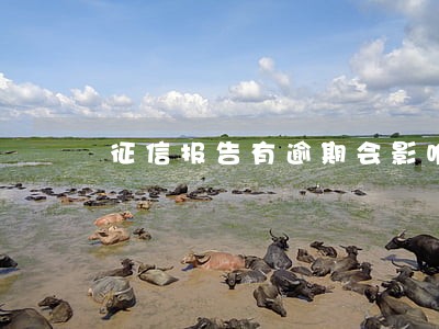 征信报告有逾期会影响信用吗 征信报告有逾期会影响信用吗