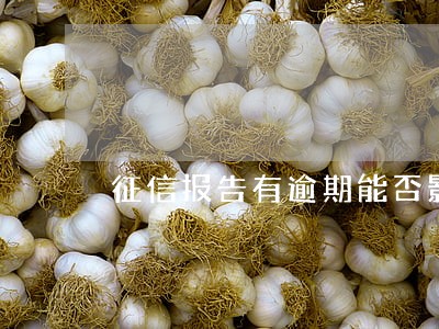 征信报告有逾期能否影响贷款 征信报告有逾期能否影响贷款