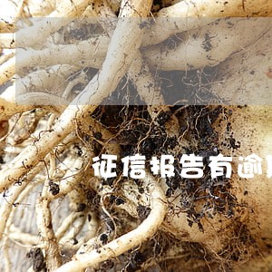 征信报告有逾期能消吗6 征信报告有逾期能消吗6