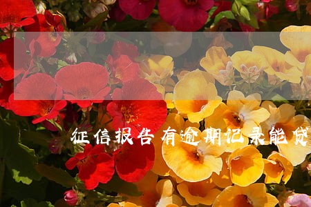 征信报告有逾期记录能贷款吗