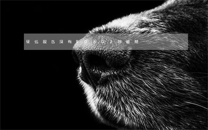 征信报告没有90天以上的逾期 征信报告没有90天以上的逾期