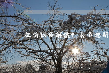 征信报告解读4表示逾期 征信报告解读4表示逾期