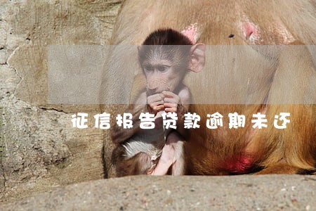 征信报告贷款逾期未还 征信报告贷款逾期未还