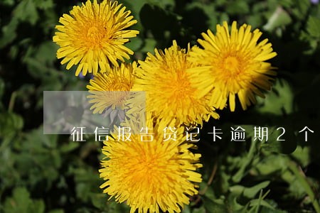 征信报告贷记卡逾期2个月 征信报告贷记卡逾期2个月