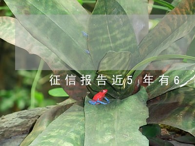 征信报告近5年有6个月处于逾期 征信报告近5年有6个月处于逾期