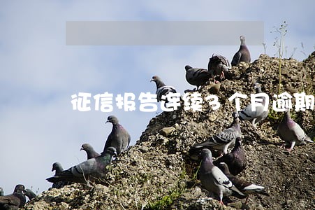 征信报告连续3个月逾期 征信报告连续3个月逾期