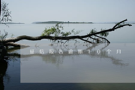 征信报告逾期10个月