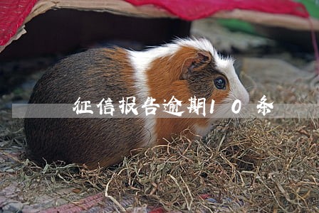 征信报告逾期10条 征信报告逾期10条